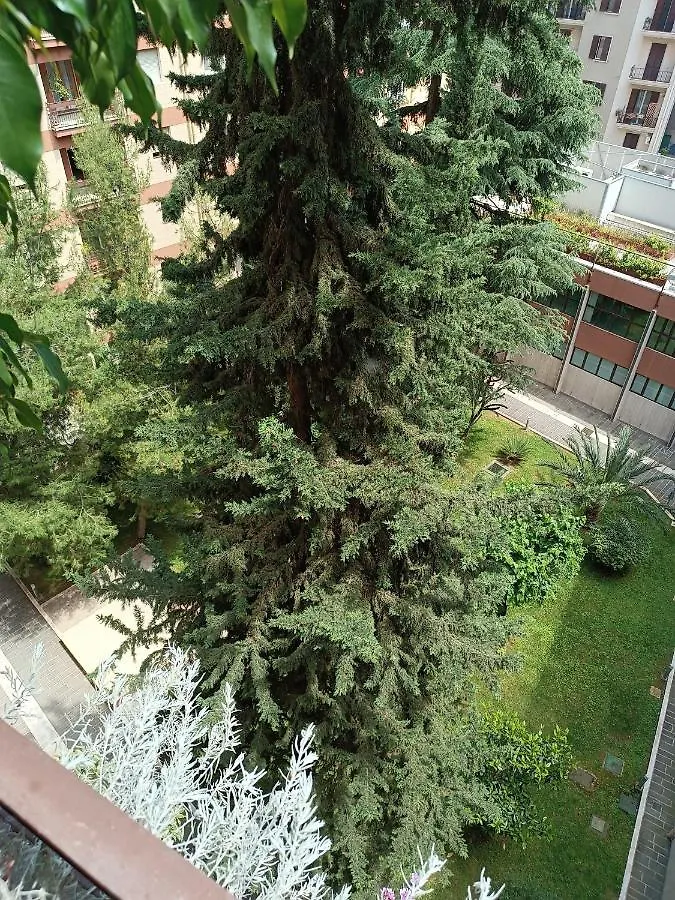 Apartmán Carola Bari